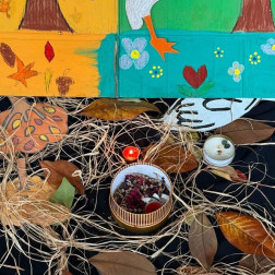 Mevsimler Panosu – Doğa ve Canlılar