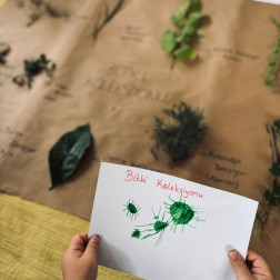 Bitki Koleksiyonu Çalışması