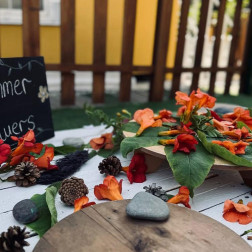 Doğadan Sanat Çalışması – Nature Art 🍂🌿