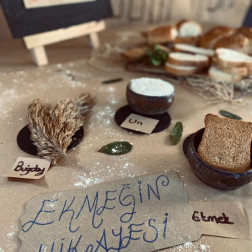 Ekmek Yolculuğu – Buğdaydan Sofraya 🍞🌾