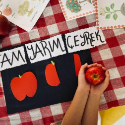 Tam – Yarım – Çeyrek Kesir Çalışması 🍏📊