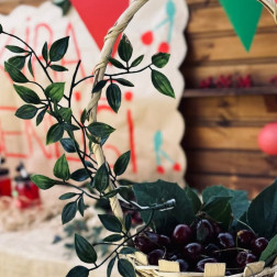 Kiraz Panayırı – Mevsimsel Meyveleri Tanıyoruz