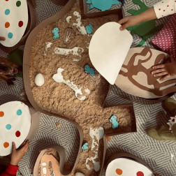 Dinozor Yumurtaları – Fosil ve Kazı Atölyesi