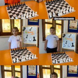 Branş Eğitimlerimiz