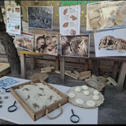 Mini Paleontologlar İş Başında!