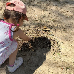 Doğa Sanatı – Dal ve Yaprak Toplama