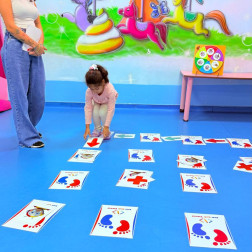 DUYGU  ÇARKI ALGORİTMASI