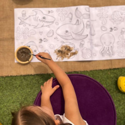 Okyanus Temalı Büyük Boy Boyama Çalışması