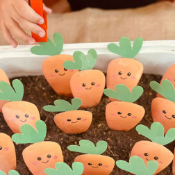 Bahçeden Havuç Topluyoruz!