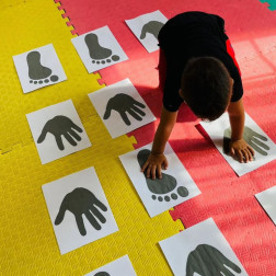 Hareketli El-Ayak Parkurunda Denge ve Koordinasyon