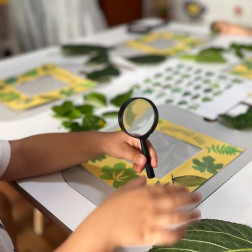 Yaprak İnceleme – Doğa Keşif Atölyesi