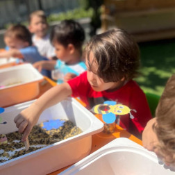 Duyusal Arama Kutusu – Bahçe Keşfi