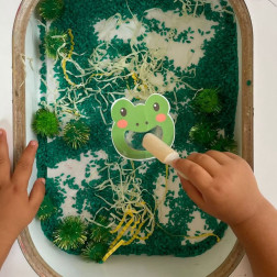 Kurbağa Besleme – Duyusal Yeşil İstasyon