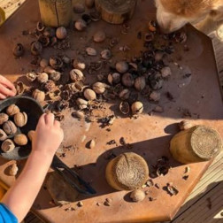 Doğanın İçinde Keşif ve Duyusal Oyun Zamanı