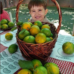 Mandalinayı Tanıyorum – Doğadan Sofraya Lezzetli Bir Keşif!