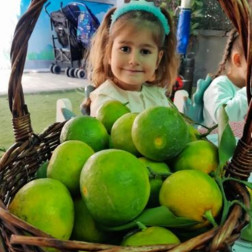 Mandalinayı Tanıyorum – Doğadan Sofraya Lezzetli Bir Keşif!