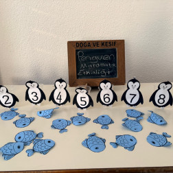 Penguen Matematik Etkinliği