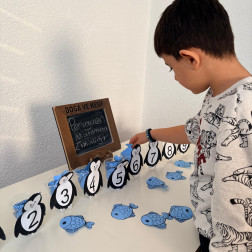 Penguen Matematik Etkinliği