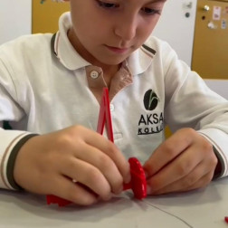 Mancınık Etkinliği