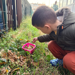 “Doğanın Paletinden Topladık, Renklere Göre Yerleştirdik.”