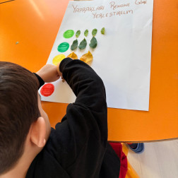 “Doğanın Paletinden Topladık, Renklere Göre Yerleştirdik.”