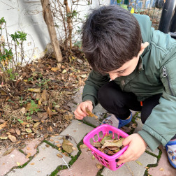 “Doğanın Paletinden Topladık, Renklere Göre Yerleştirdik.”