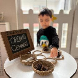 Doğayla Örüntü Yolculuğu 🌿✨