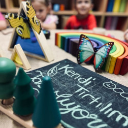 Kelebek – Tırtıl Dönüşümü Çalışması