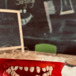 Ağız ve Diş Sağlığı Atölyesi