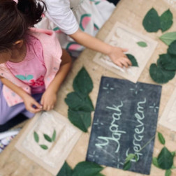 Yaprak Çerçevem – Doğa Atölyesi