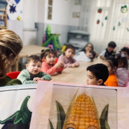 Sağlıklı Beslenme ile Tanışıyoruz