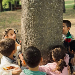 Ağaç Keşfi – “Doğayı Keşfeden Küçük Kaşifler”
