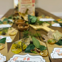 Doğanın Renkleri – Yaprak Kolaj Çalışması