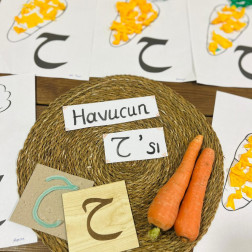 Harf Etkinliği – Havucun ‘ح’ H’si