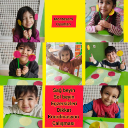 Montessori Sağ–Sol Beyin ve Dikkat Koordinasyon Çalışması