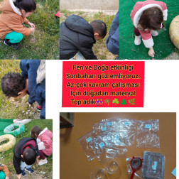 Fen ve Doğa Etkinliği – Sonbaharı Keşfediyoruz