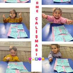 Şekil Eşleştirme Çalışması