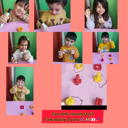 Sarı Renk Montessori Farkındalık Oyunu