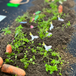 Regio Emilio Mahsulu Etkinlikler