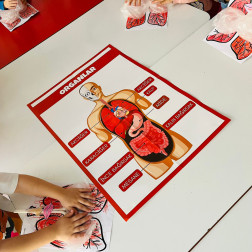 🔍 Zihinsel Gelişim İçin Eşleştirme Oyunu! 🔍