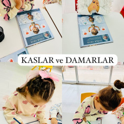 💪 Kaslar ve Damarlar: Vücudumuzu Tanıyoruz! 💪