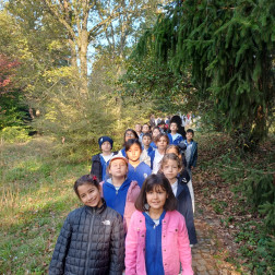 Atatürk Arboretumu Gezimizden Rengârenk Kareler 🍁🌿