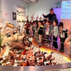 Saint Joseph Doğa Bilimleri Müzesi’ne Keyifli Keşif Gezisi