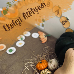 Ekoloji Atölyesinde Kabak Keşfi