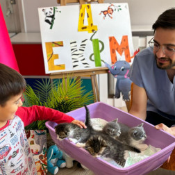 Hayvanları Koruma Günü 🐾