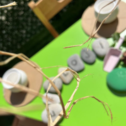 Saksıda Bitki Atölyesi