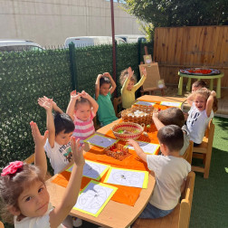 Yumurta Kabukları Etkinliği