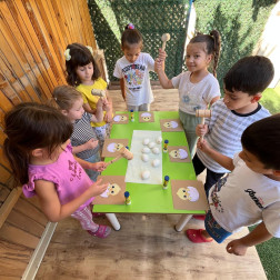 Yumurta Kabukları Etkinliği