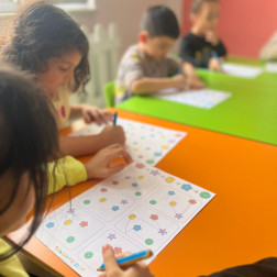 Eşleştirme ve Dikkat Çalışması