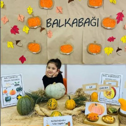 Balkabağı Keşif Atölyesi